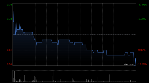 兴盛网  中国生态旅游拟将未偿还可转换债券交换为新债券
