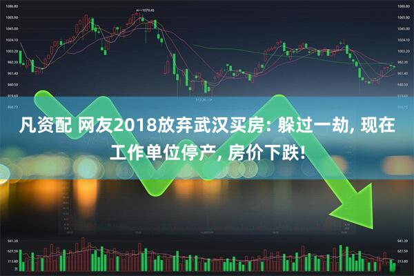 凡资配 网友2018放弃武汉买房: 躲过一劫, 现在工作单位停产, 房价下跌!